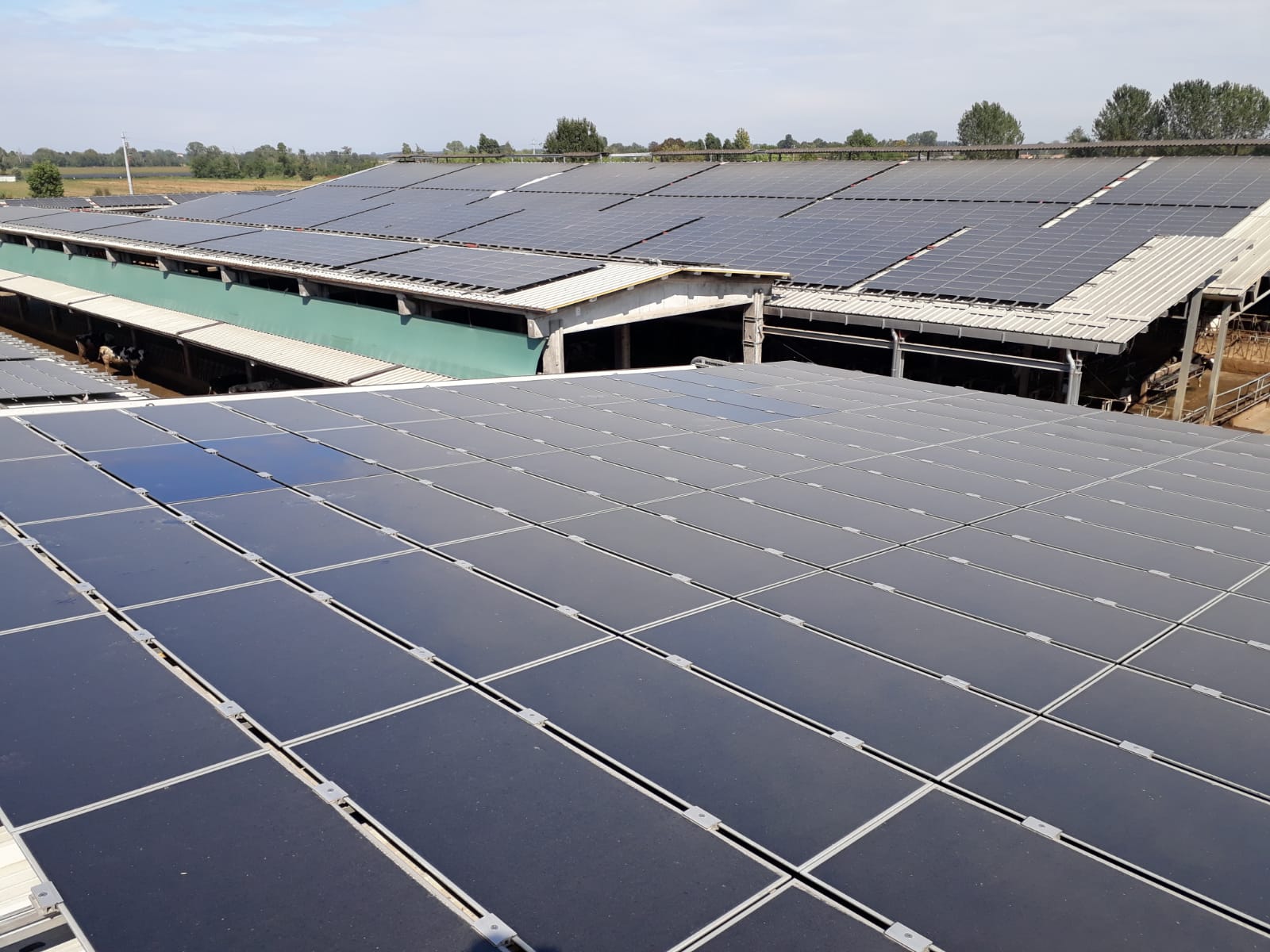 fotovoltaico 4